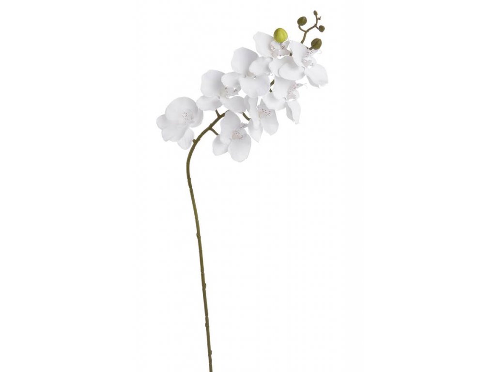 Umělé orchideje bílé